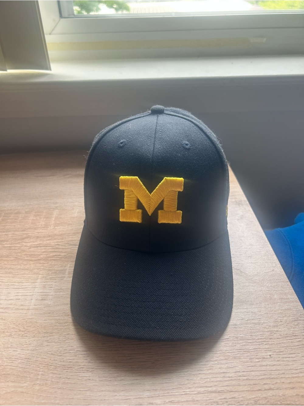 Michigan Hat